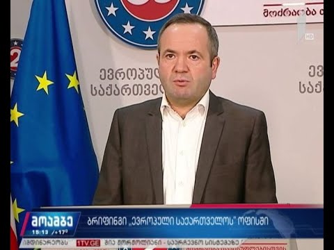 „ევროპული საქართველოს“ ბრიფინგი